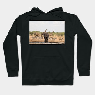 Zebra giraffe and elephant at the waterhole Hoodie